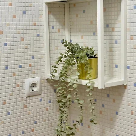 Apartment El Pisito De La Serena - Cosy - Affordable Gateway To Nature *